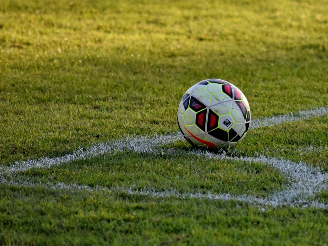 Nærbillede af et tæt, velplejet græstæppe på en fodboldbane